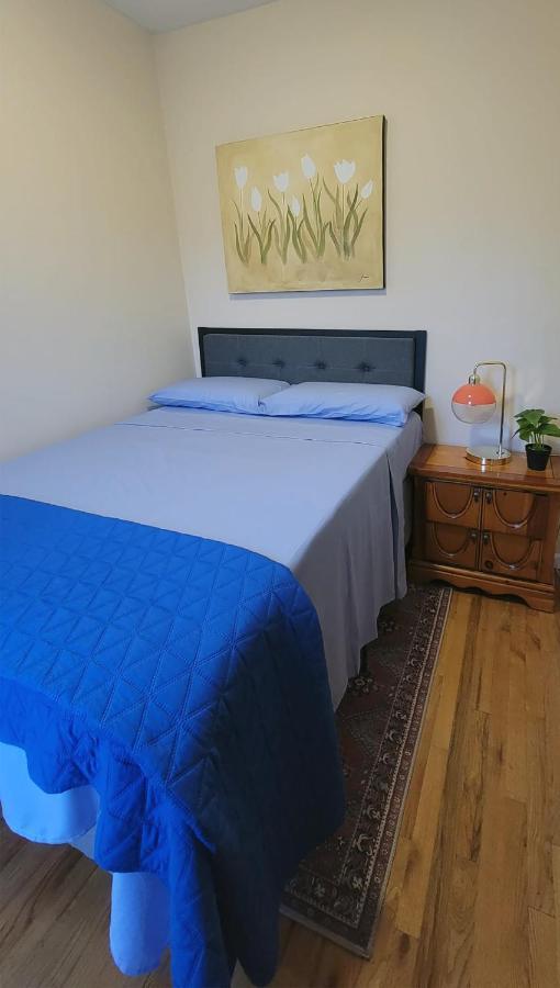 Apartment Bright & Cozy East Williamsburg 2 Bedroom