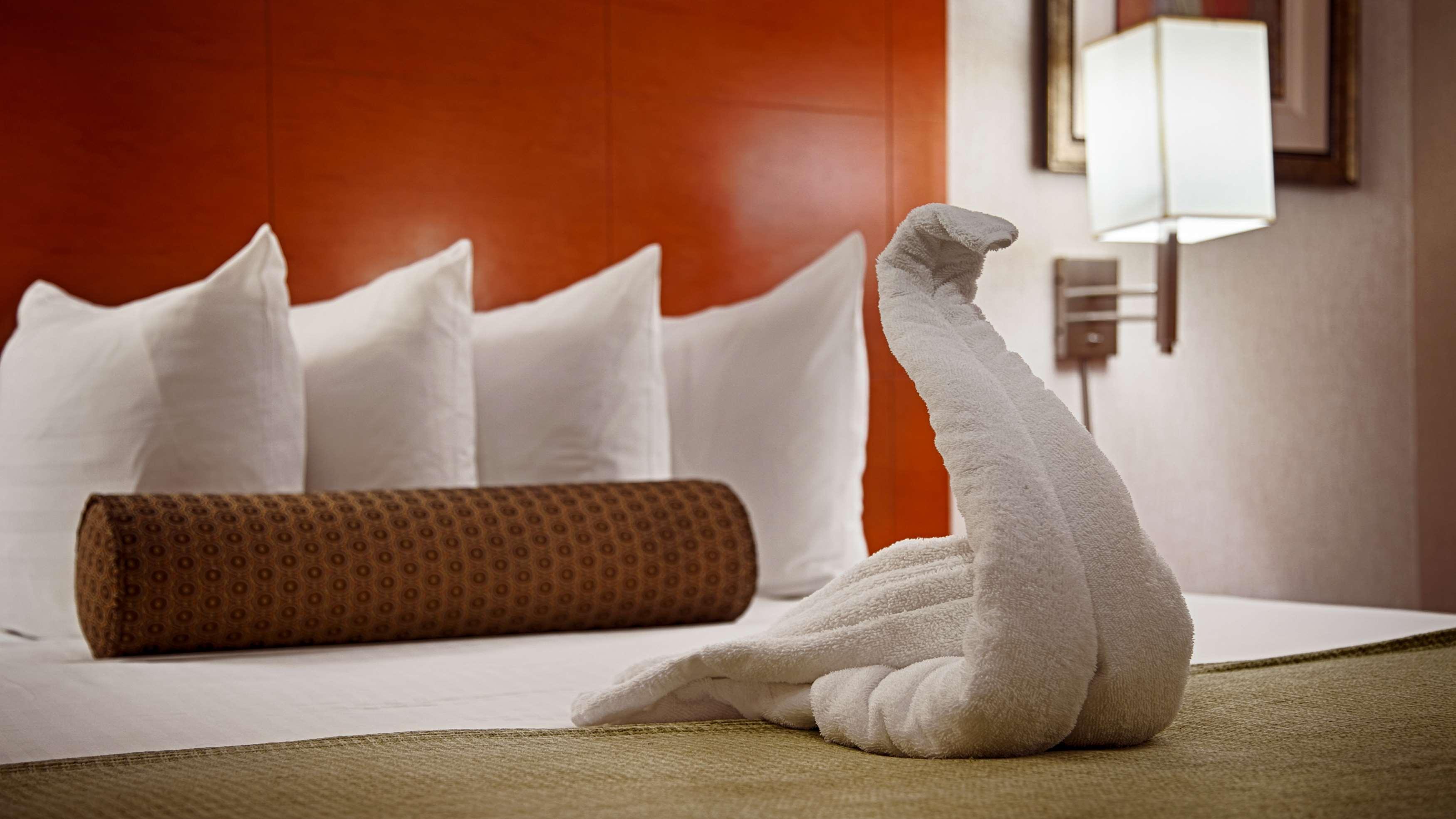 Western Jfk Airport 3*