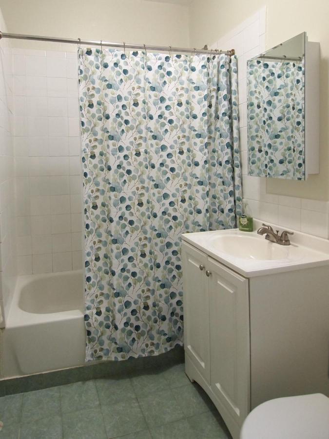 Prospect Park Apartment