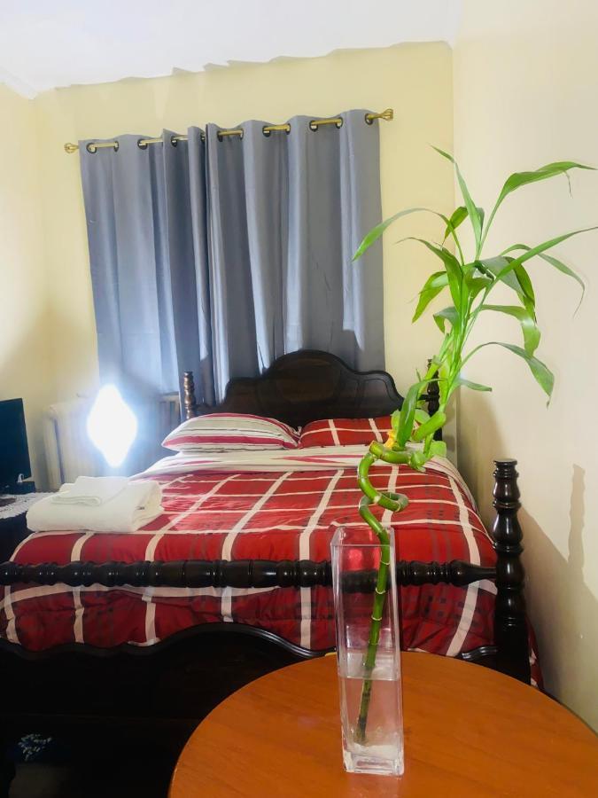 Cozy Comfort In Brooklyn New York