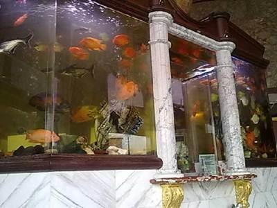 Paris Hotel 3*