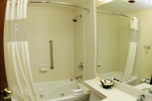 Western Jfk Airport Hotel 3*