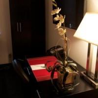 36 Hudson (adults Only) 3*