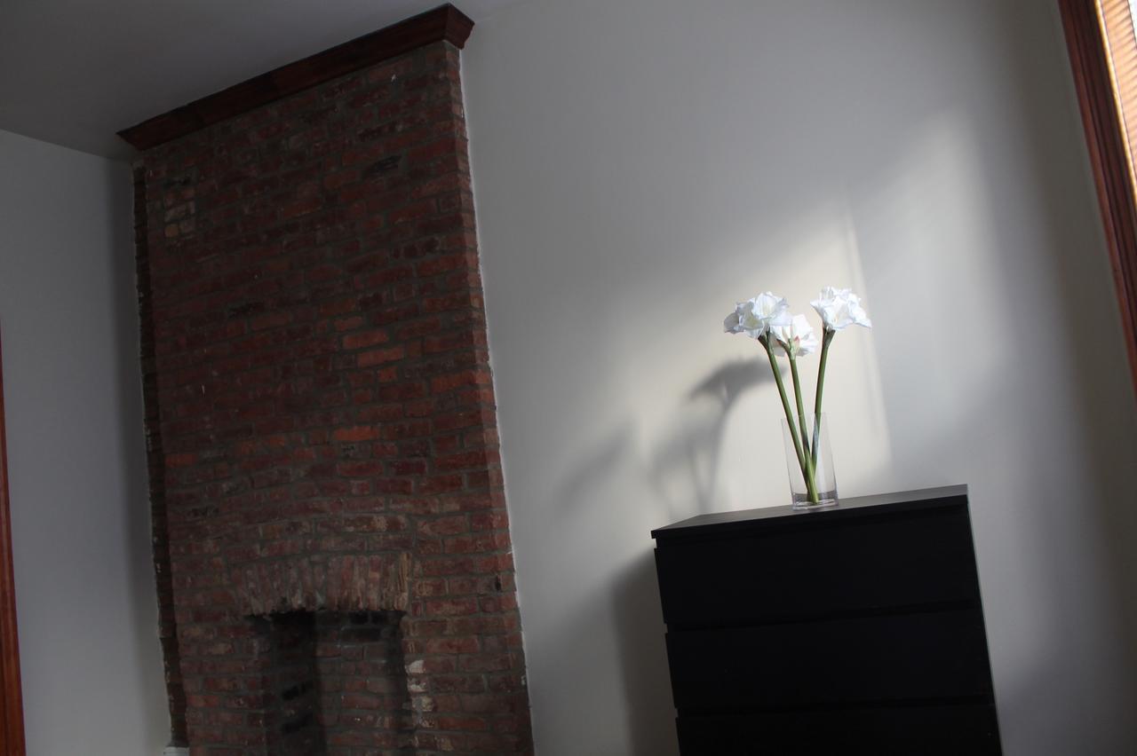Stuyvesant Heights Loft Apartment