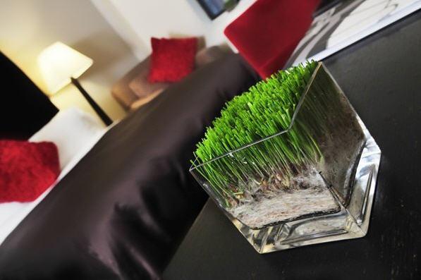 The Court - A St Giles Hotel 3*