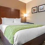 Comfort Inn & Suites Near Jfk Air Train