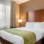 Comfort Inn & Suites Near Jfk Air Train