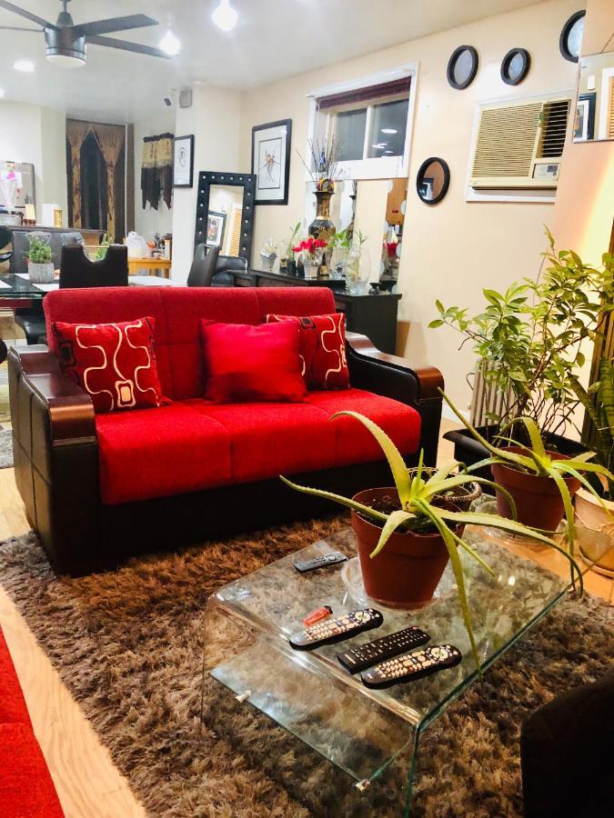 Homestay Brooklyn Blue House