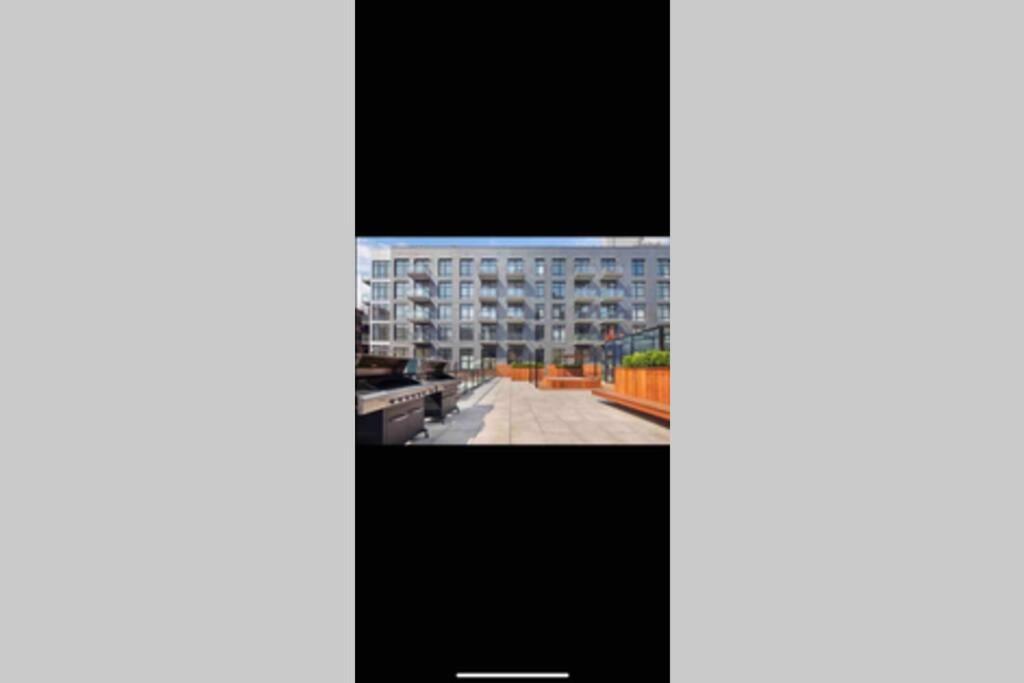 Apartment The Loft Pool Sauna Gym In The Bronx New York