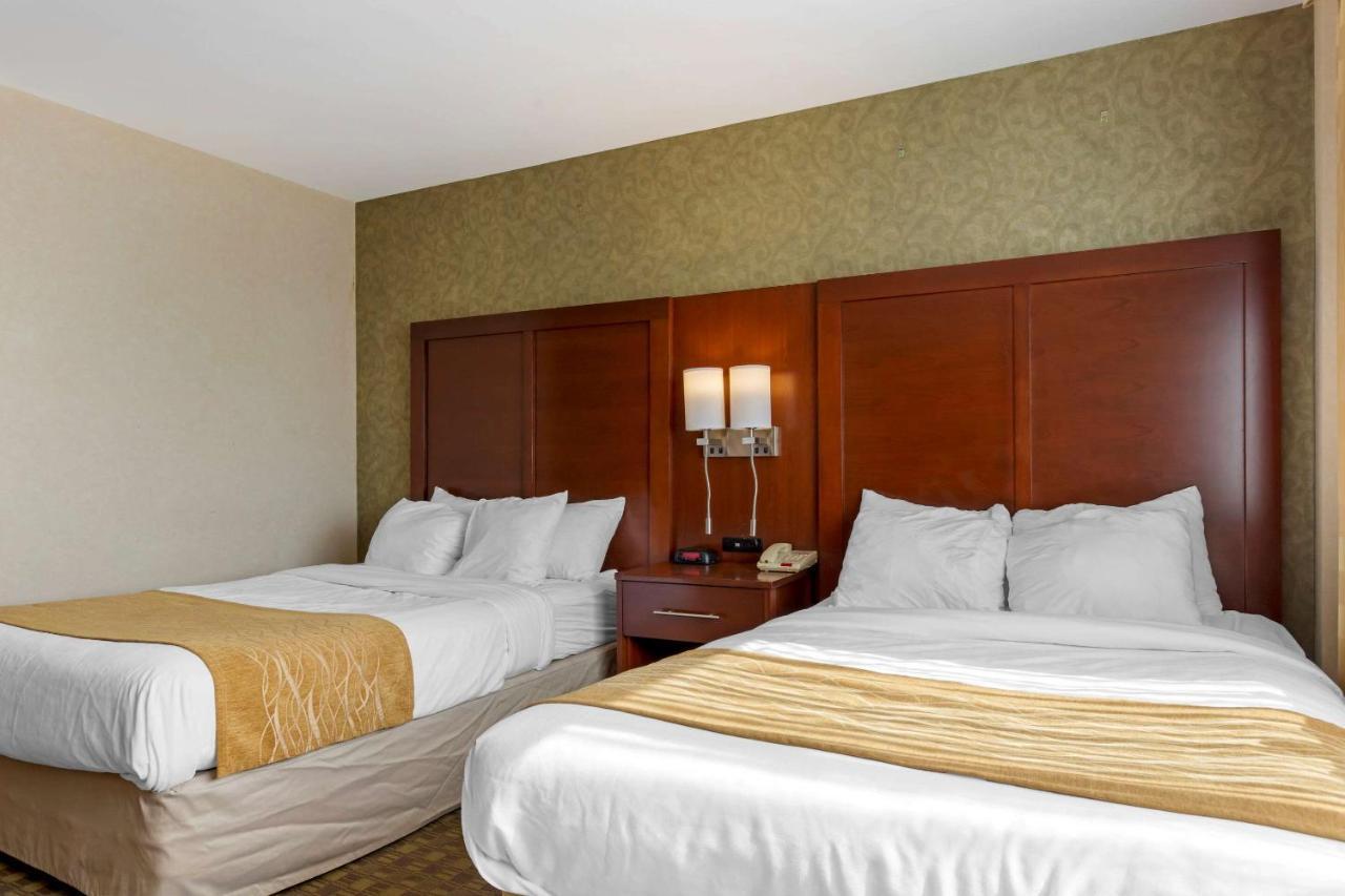 Comfort Brooklyn 2*