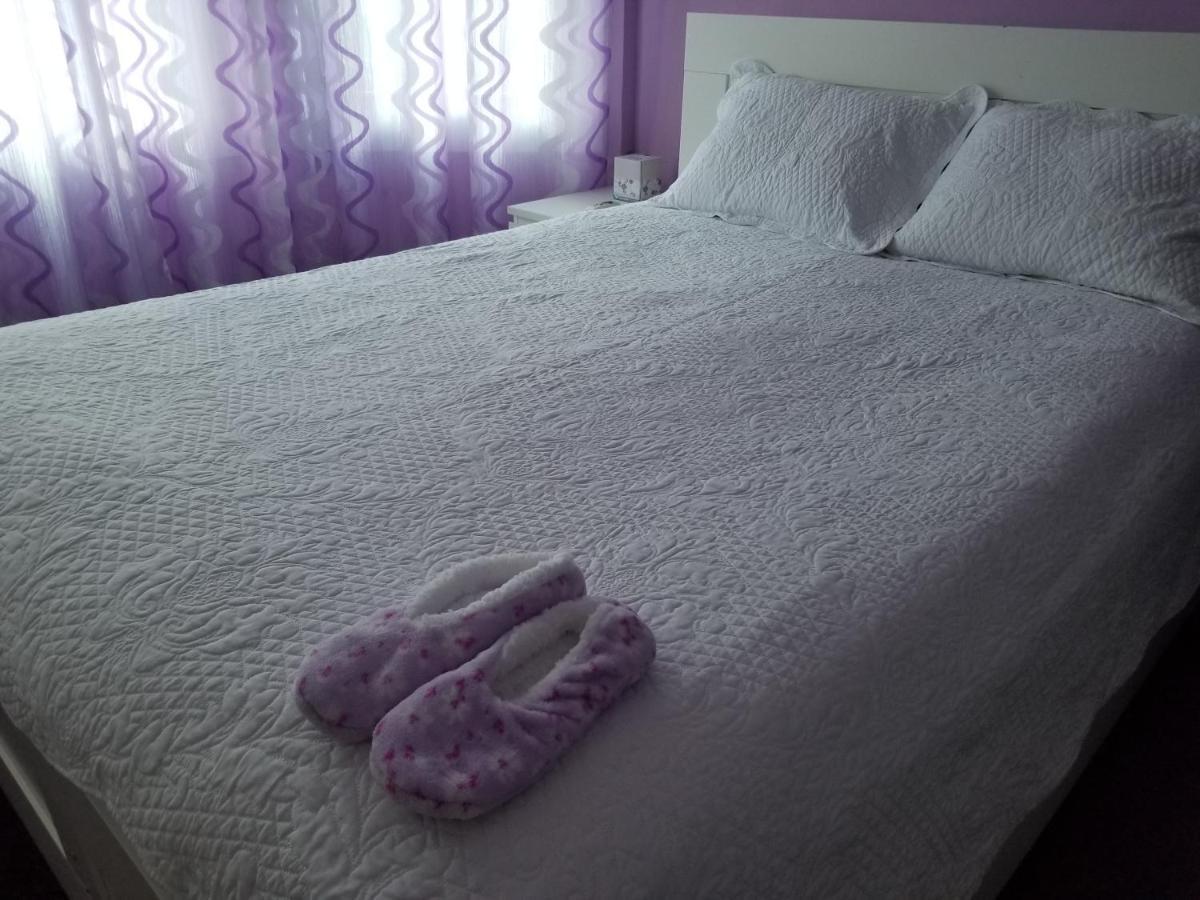 Homestay Maspeth House