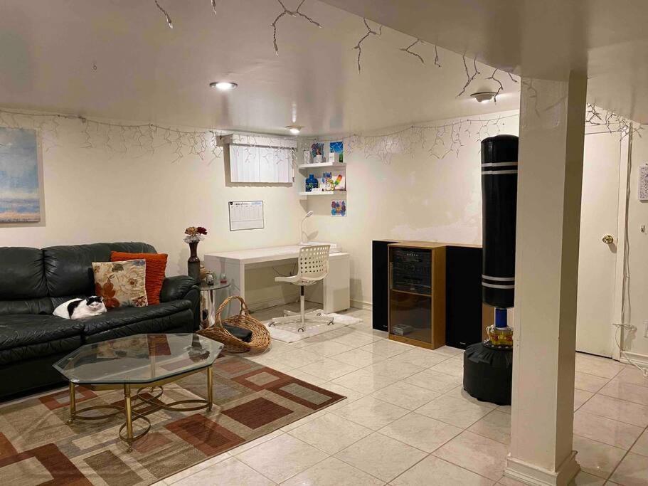 Apartment Treasure In Queens
