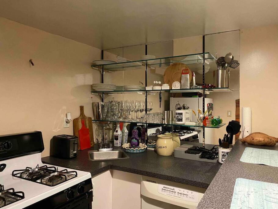 Apartment Treasure In Queens New York