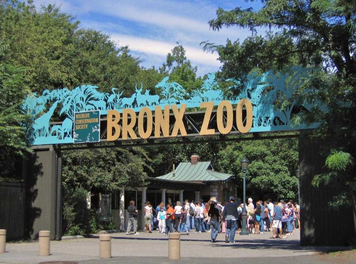 Apartment King Size Bed Fast Wifi 278mbps Bronx Zoo 2 Miles