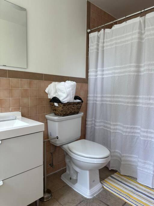 Bedstuy Beauty Apartment New York