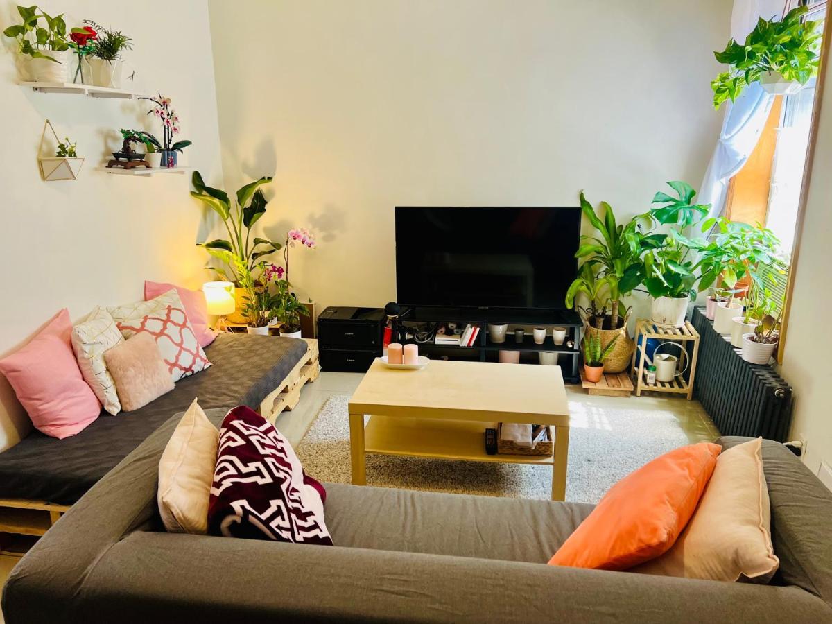 Brooklyn Crown Heights Guest house
