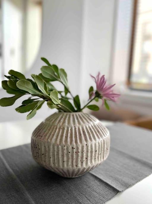 Apartment Minimalist Brooklyn Gem To Yourself *