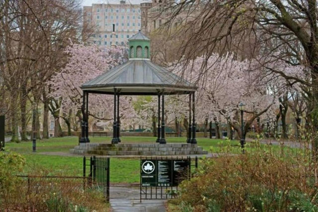 Newly Renovated 2br Haven Walk To Columbia Uni