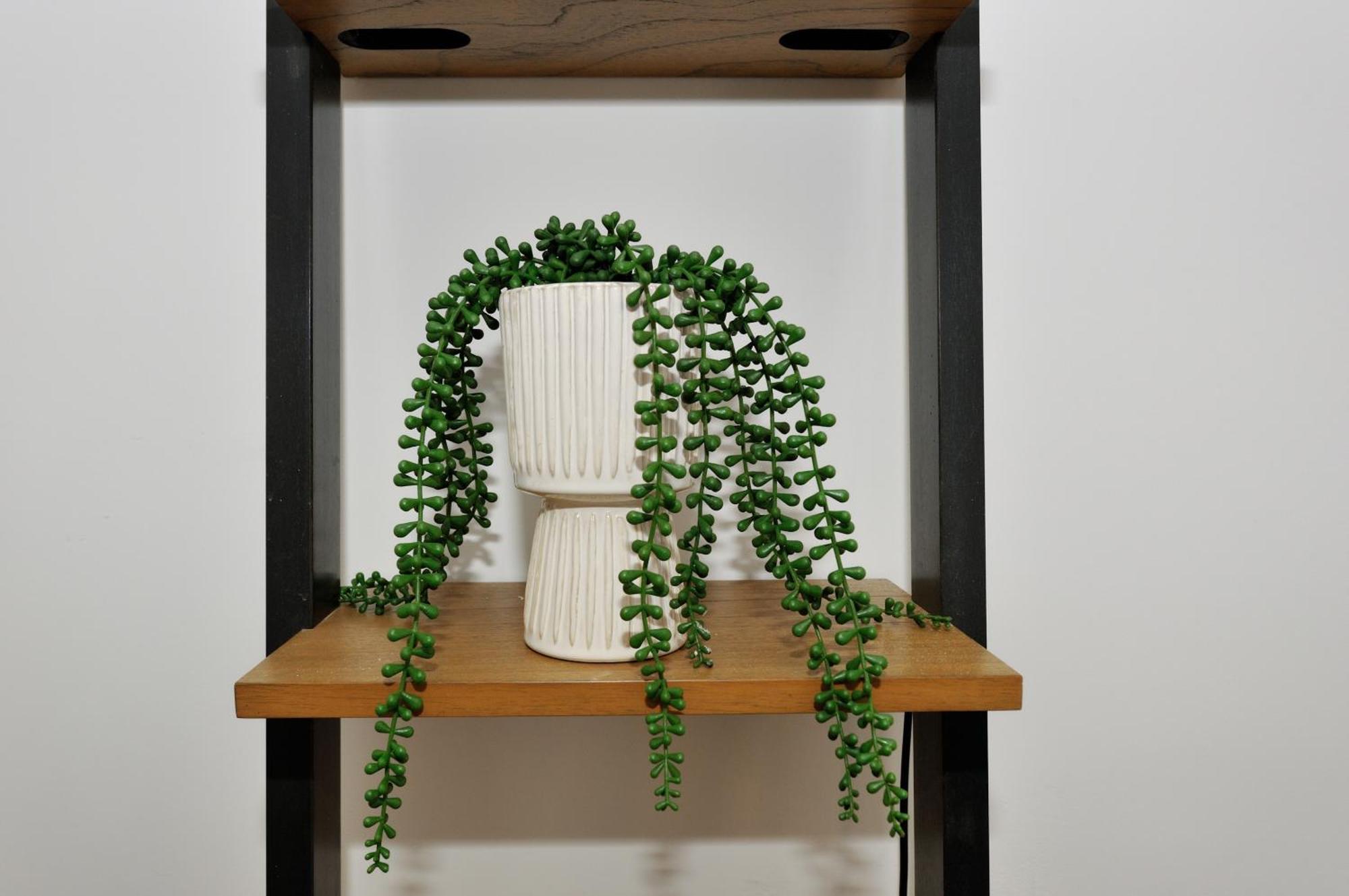Monthly Nyc - Flawless Studio *
