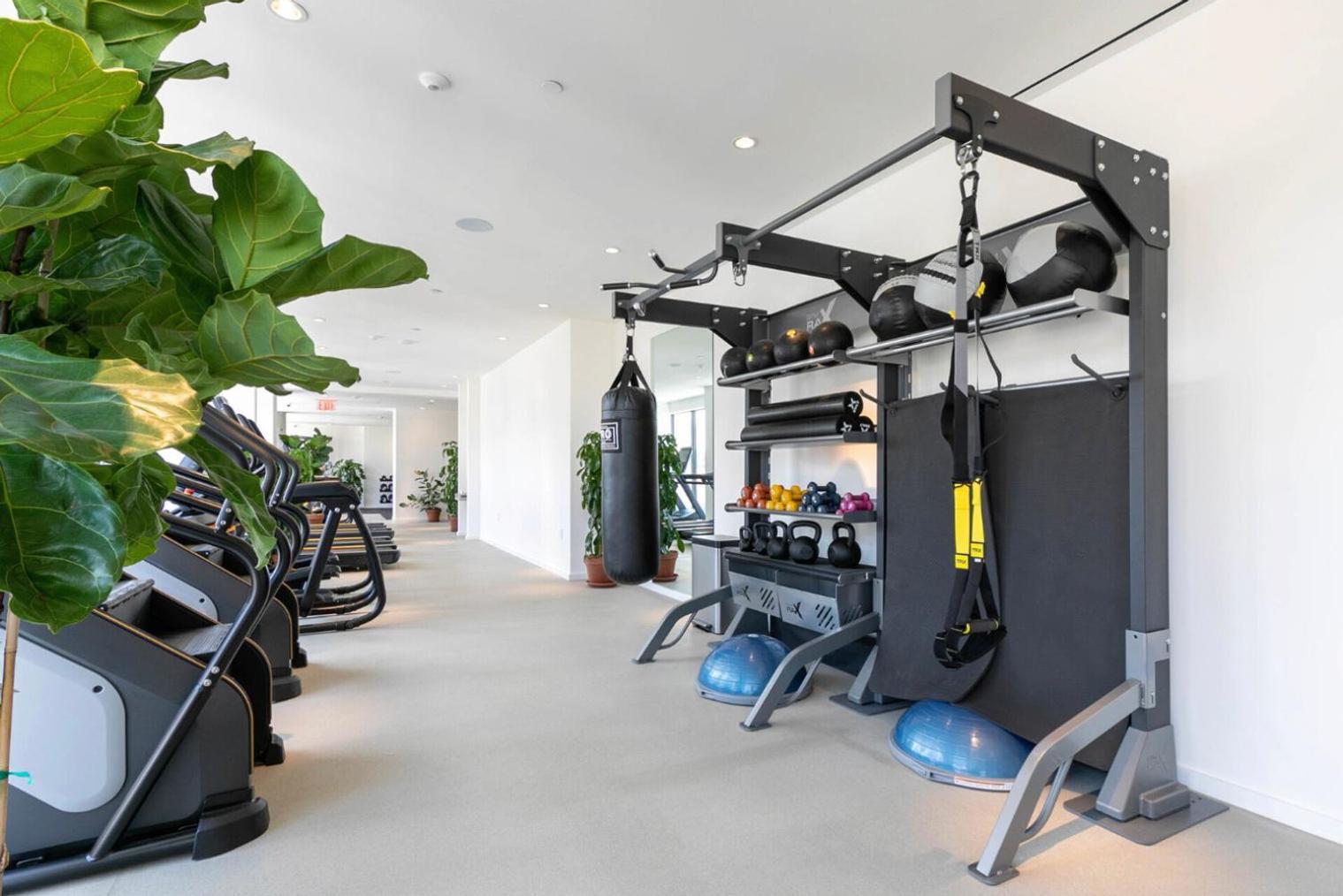 Apartment Clinton Hill 1br W Wd Gym Pool Nr Bam Nyc-972