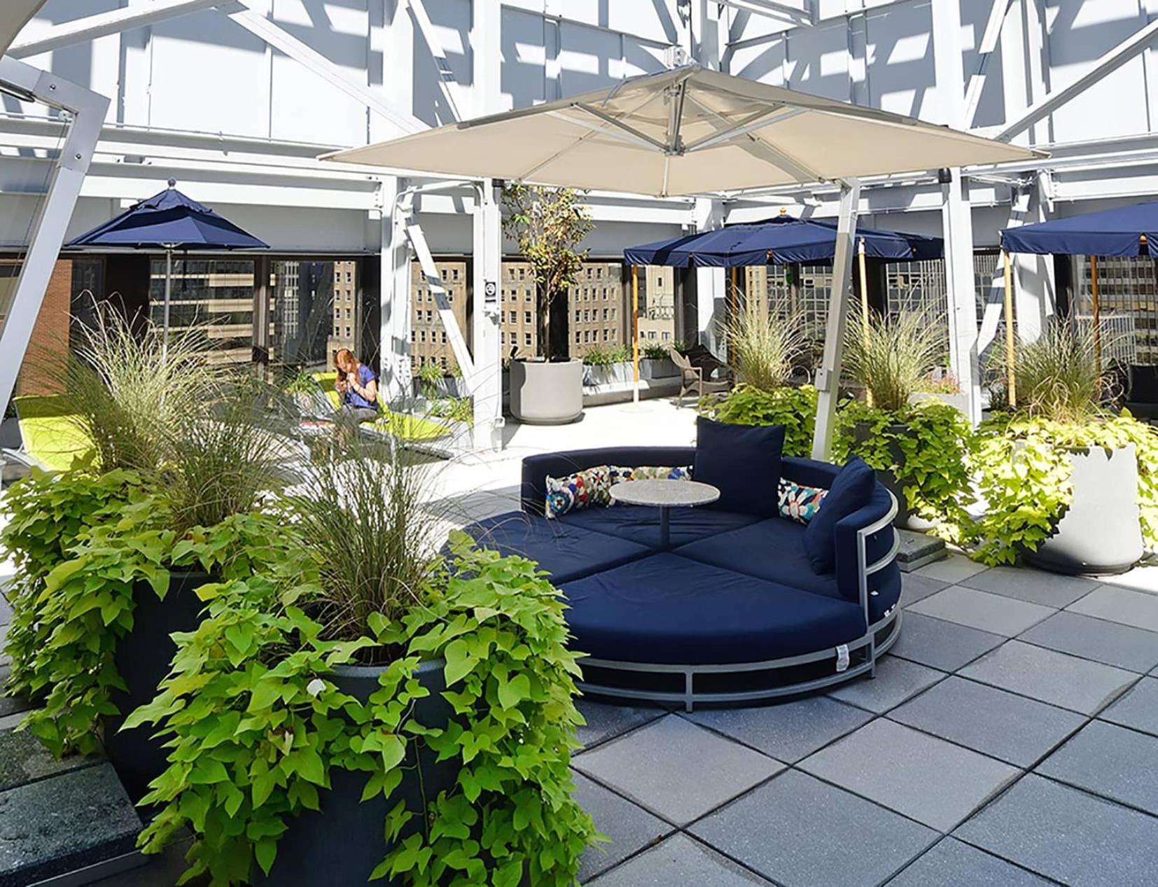 Apartment Outstanding & Bright 5bdr & 2 Bth In Downtown Manhattan