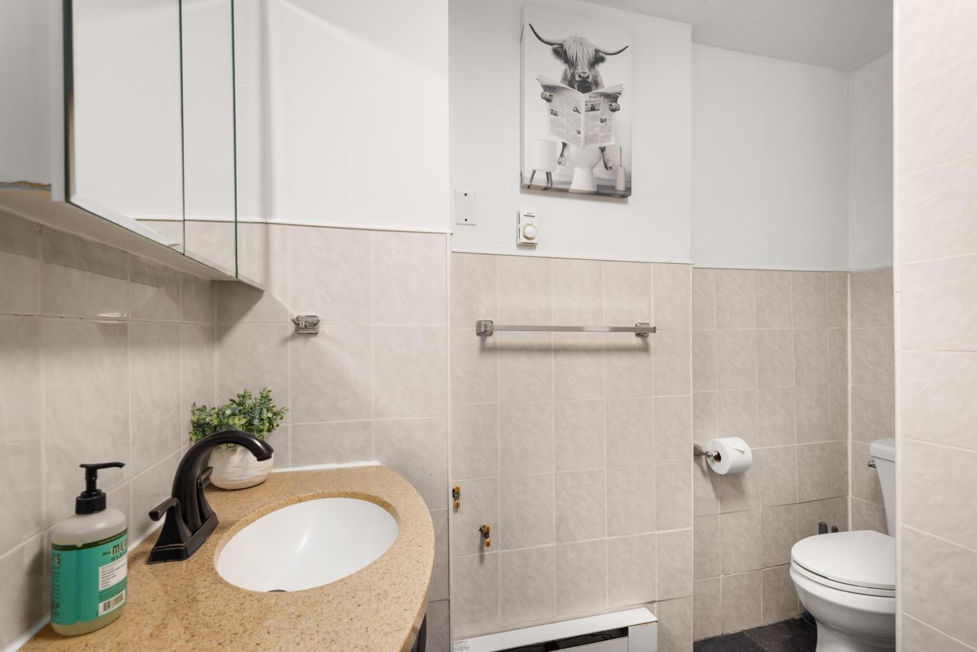 Spacious 3 Bedroom Gem In Trendy Dumbo! Apartment