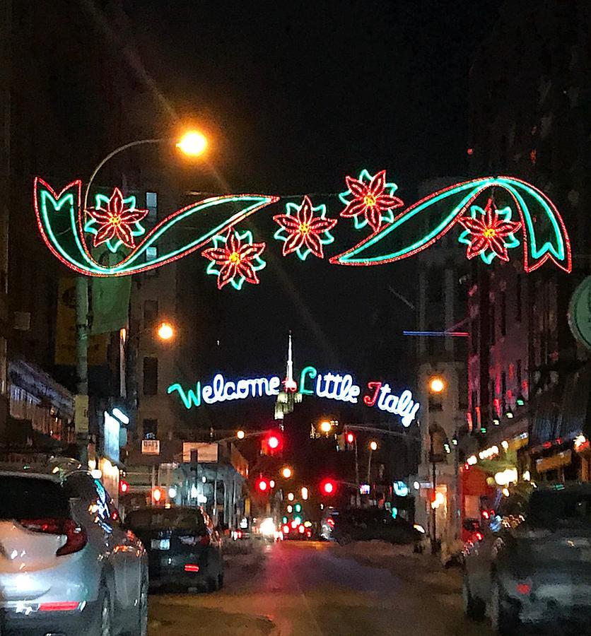 Little Italy Penthouse Apartment New York