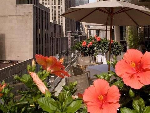 Doubletree By Hilton Midtown Fifth Ave New York