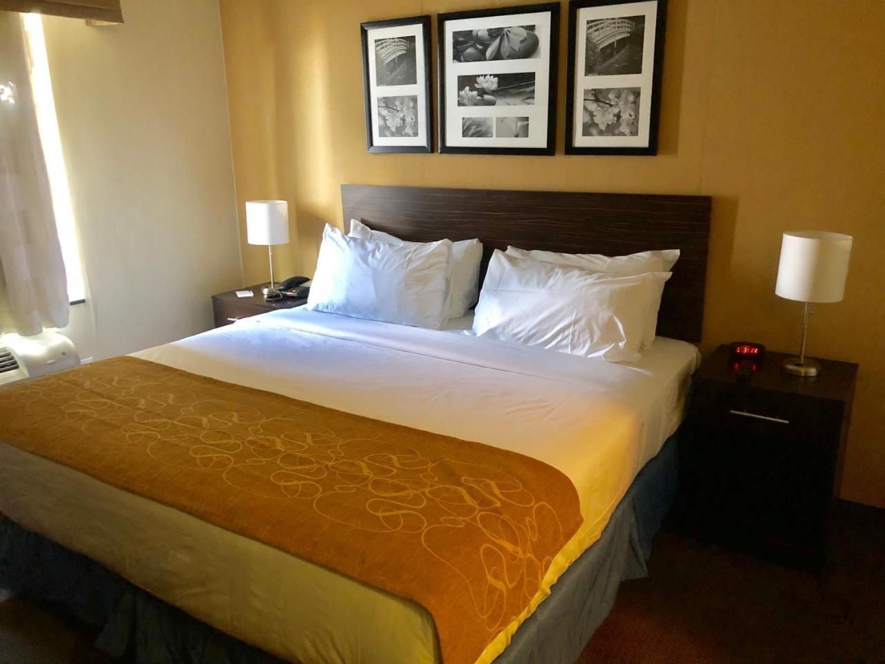 The Vue Brooklyn New York
