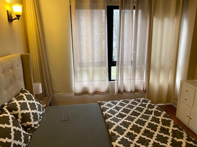 Stunning 1 Bedroom In Dumbo, Brooklyn New York