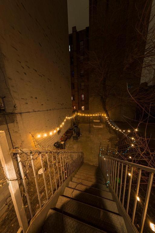 Friendly In Williamsburg Brooklyn New York