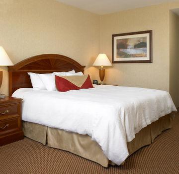 Hilton Garden Queens/jfk Hotel New York