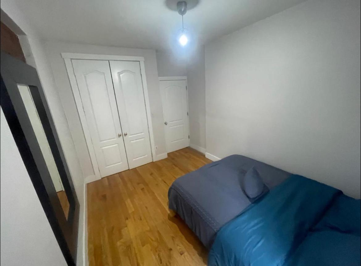 Gem. Williamsburg 2 Bedroom. Apartment New York
